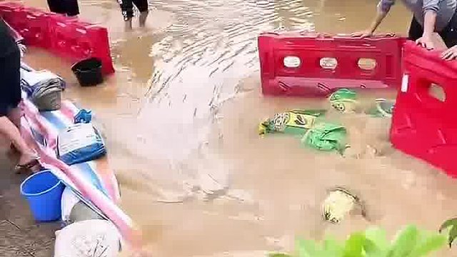 都在旁边看笑话