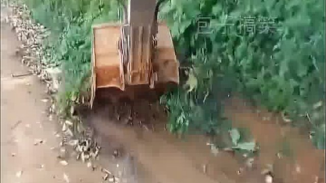 清理路边杂草