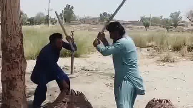 狡兔三窟
