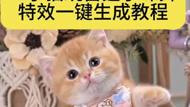 小猫跳舞ai雷霆小咪舞特效教程
 ai小猫跳舞教程 三只小猫跳舞原版 猫咪跳舞视频 AI雷霆萌宠舞挑战 小猫咪跳舞ai 三只小猫跳舞真人版 猫ai跳舞一键生成入口 雷霆小猫 ai小猫舞 小猫跳舞ai三只猫怎么做 小猫ai跳舞 猫咪站立跳舞动作 ai雷霆小咪舞特效 ai雷霆小咪舞指令 ai雷霆小猫特效 ai雷霆小咪舞剪同款 ai小猫跳舞特效 ai雷霆特效 头一次见那么会跳舞的小猫 小猫跳舞