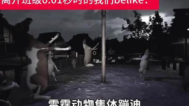 雷霆动物集体蹦迪