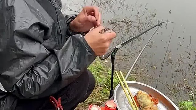 没有比这更新鲜了！