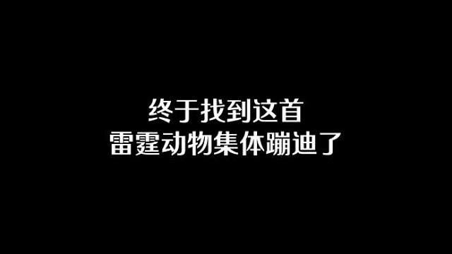 雷霆动物集体蹦迪 轮椅老头鬼火漂移.