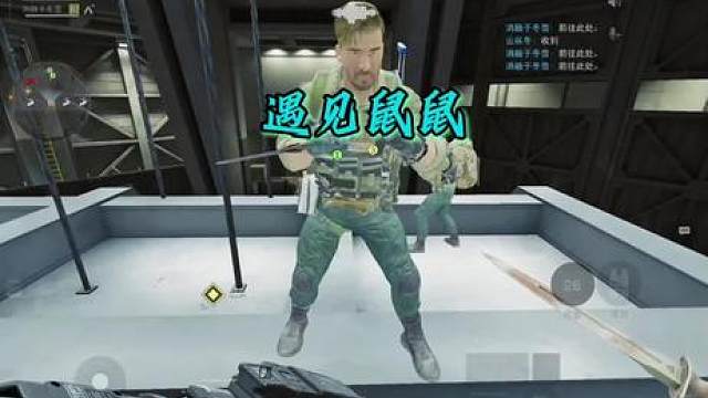 偶遇两只鼠鼠