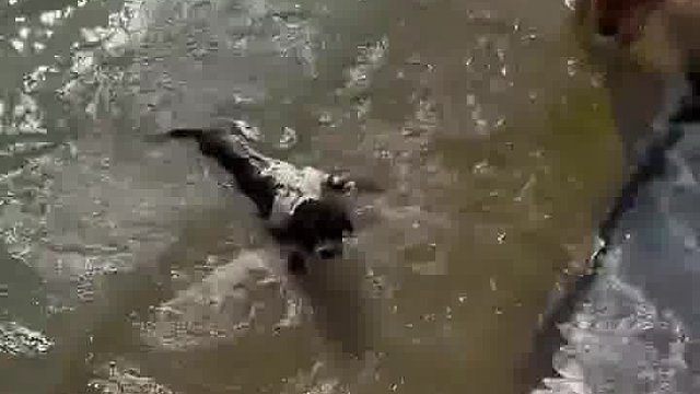 无知者无畏