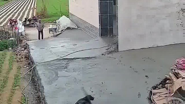 又是赔钱的一天