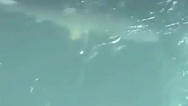 桥下的大鱼，该怎么钓上来呢