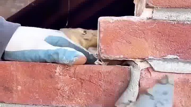 外国砌墙技巧