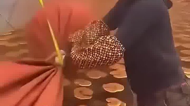 外行人眼里就是尘土！