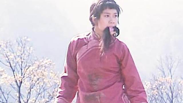 12.《武当》清末中州摆开擂台，武当高手用真功夫挫败日本挑衅