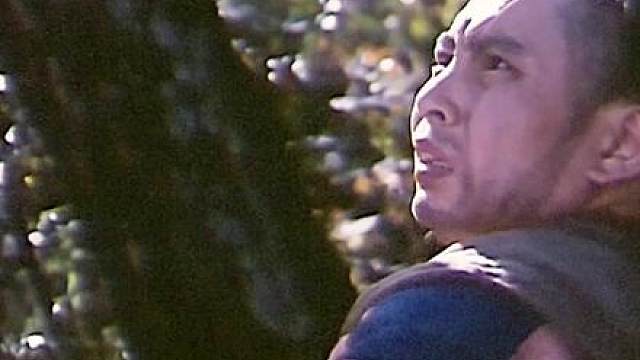 15.《武当》清末中州摆开擂台，武当高手用真功夫挫败日本挑衅