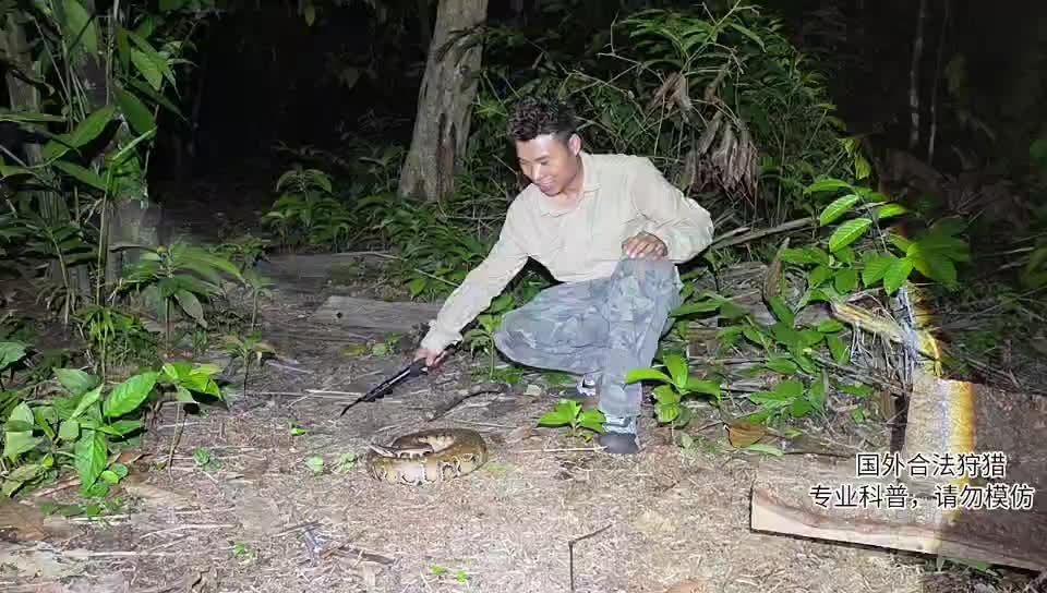 血蟒