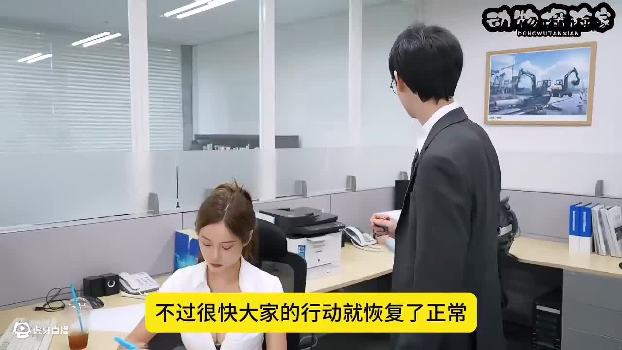 时间暂停器