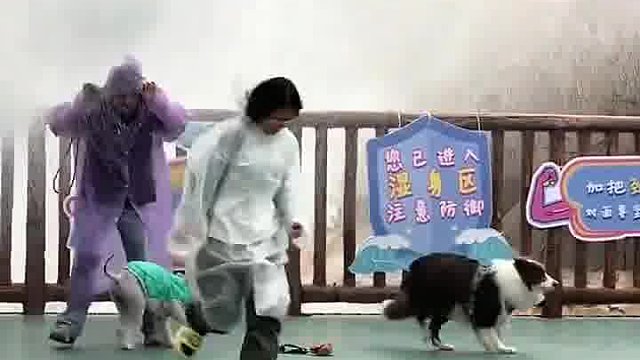 是不是该你的