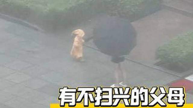 她在记录她，他在记录她们
