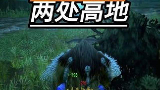 鸟德站在高地 打的DK抱头鼠窜