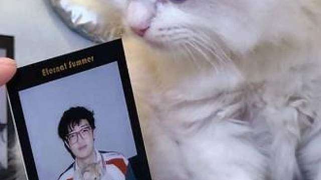 盛夏光年