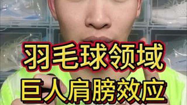 羽毛球领域的巨人肩膀效应。