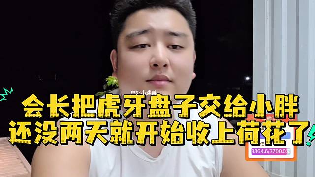 会长把虎牙盘子交给小胖还没两天就开始收上荷花了
