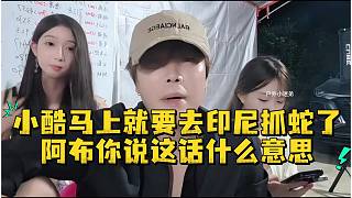 小酷馬上就要去印尼抓蛇了阿布你說這話什么意思
