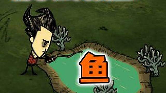 饥荒新手如何钓鱼？