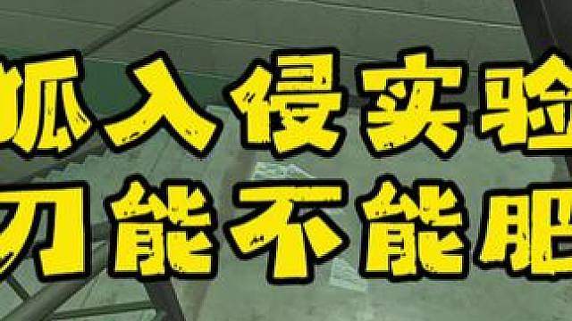 实验室高强度新活动黑狐入侵，跑刀能不能行？