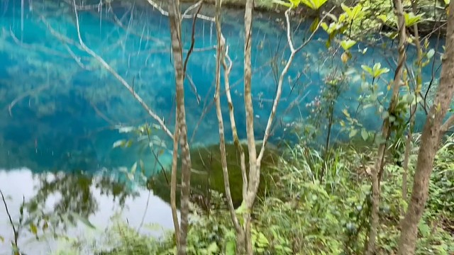 青山绿水