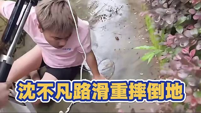 沈不凡重摔倒地 心酸 第一件事情竟然是先找手机 这就是户外主播的精神吗？