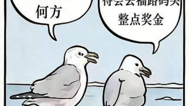 去福路码头整点奖金！征稿活动开启，速来瓜分创作激励奖金！ 2周年庆专属创作激励活动正式上线！随手录游