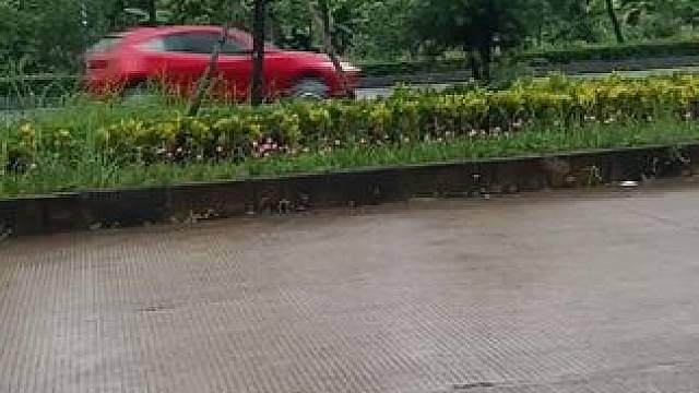 下雨天气