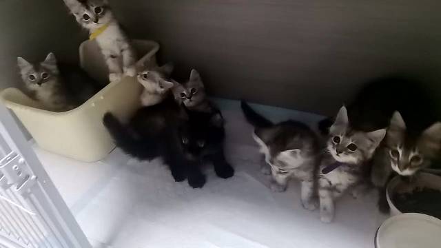 娃长大了。养不起了！