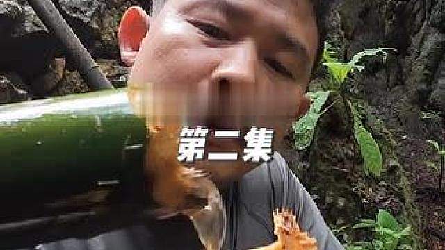 高山丛林第二集： 找了块好地准备搭建庇护所，完善了庇护所就能寻找佩奇的踪迹，你们觉得老表还能坚持几天