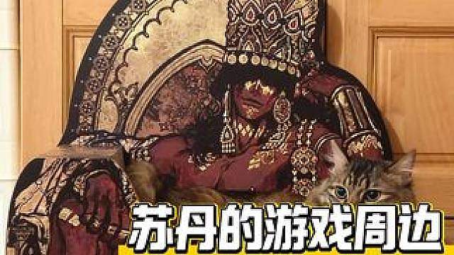 这哪里是猫抓板，明明是小猫的登基王座