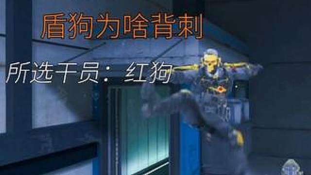 狡猾的盾狗伪装成蝶来向我求饶