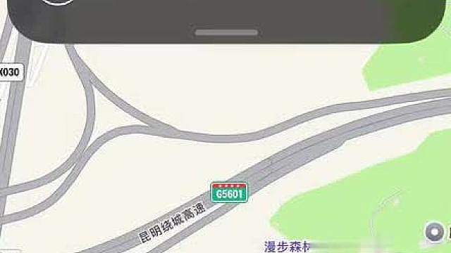 为找流浪猫救助基地进山抄近路，在大山里迷路
误踩红火蚁窝，脸肿成猪头呼吸困难
看见坟地那一刻，才知道自己得救了
直接急诊抢救，后怕到发抖
所有人谨记：野外野路不要乱走，小小蚂蚁真的很危险
 猫猫日常