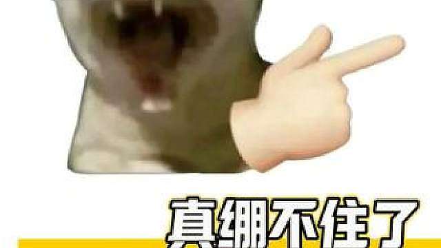 真绷不住了哈哈哈哈，王者匹配机制belike