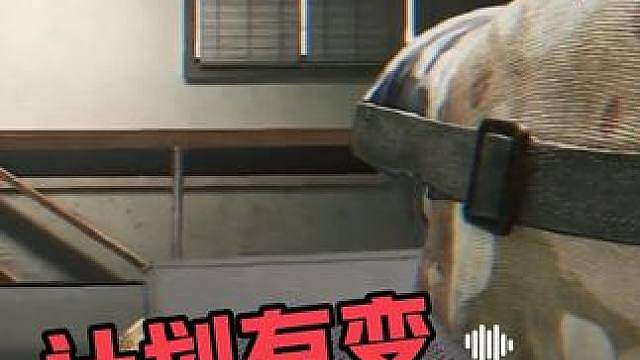 计划有变