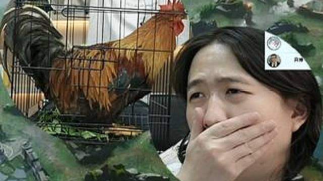 华山论剑表演赛爆笑落幕！吕德爸散养土鸡登场！