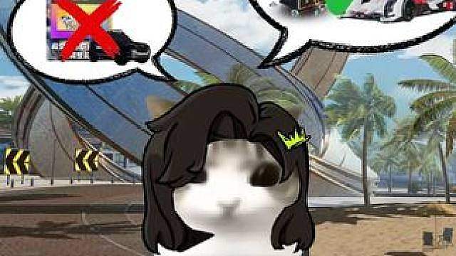 妙脆角小猫热湾赛车手？