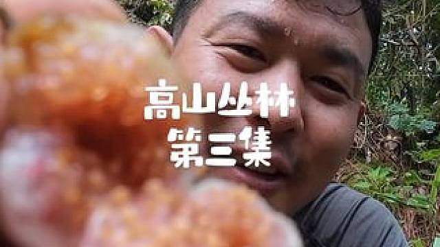 高山丛林第三集： 老表又又悄悄跑路了，风雨欲来不过我还是把庇护所完成了，虽然简陋但是能避风雨