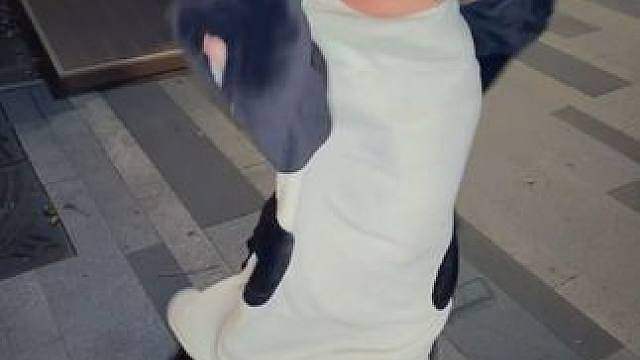 就要凑企鹅