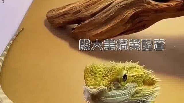 哦吼，舒服多了