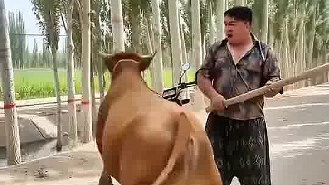 我在即梦发现了一个超棒的故事！