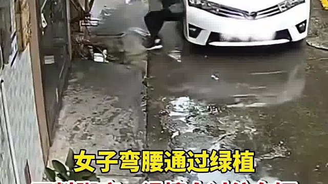 女子弯腰通过绿植，不料脚底一滑撞向过往车辆！