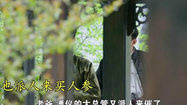 4.《血溅大青沟》，商人勾结匪军垄断人参，小镇陷入血雨腥风。