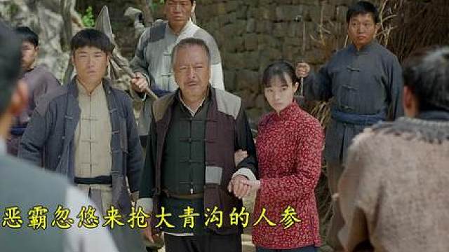 10.《血溅大青沟》，商人勾结匪军垄断人参，小镇陷入血雨腥风。