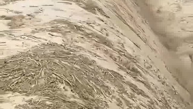 这大一个漂流瓶！