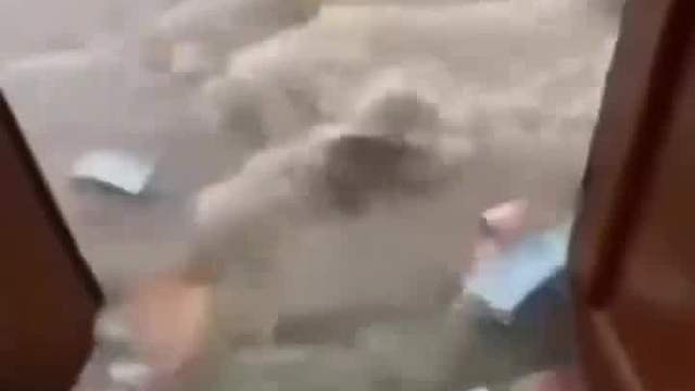 还有这种好事啊