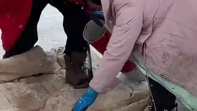 吸管还能吸鱼啊！