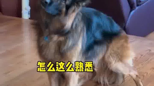 这同事关系有点紧张啊